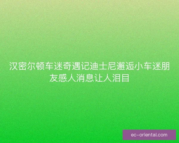 汉密尔顿车迷奇遇记迪士尼邂逅小车迷朋友感人消息让人泪目