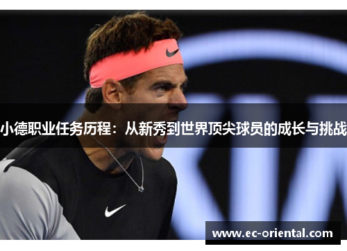 小德职业任务历程：从新秀到世界顶尖球员的成长与挑战