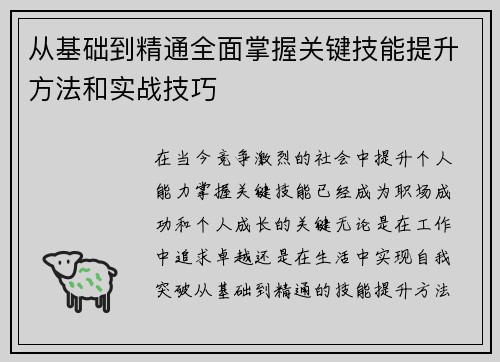 从基础到精通全面掌握关键技能提升方法和实战技巧